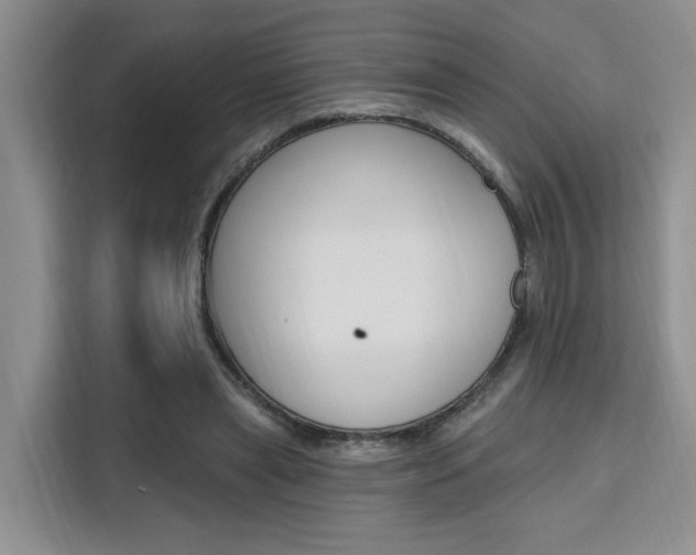 X0000111510445200907141107