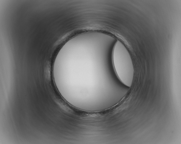 X0000111510446200907141107