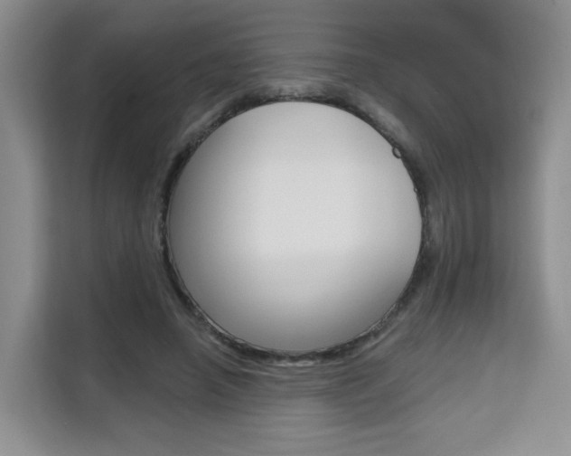 X0000111510450200907141107