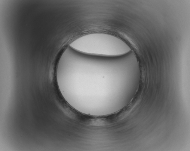 X0000111510451200907141107