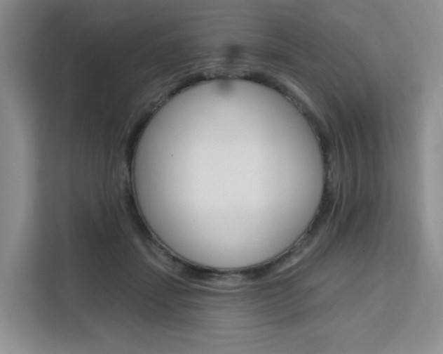 X0000111510459200907141107