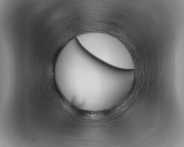 X0000111510466200907141107
