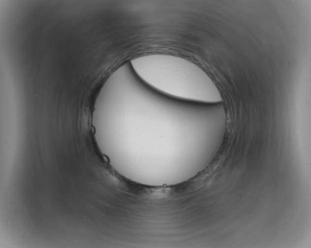X0000111510474200907141108