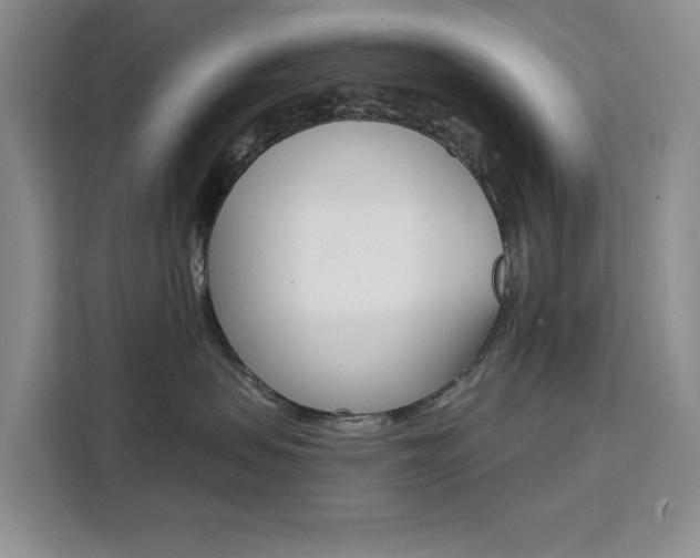 X0000111510479200907141108