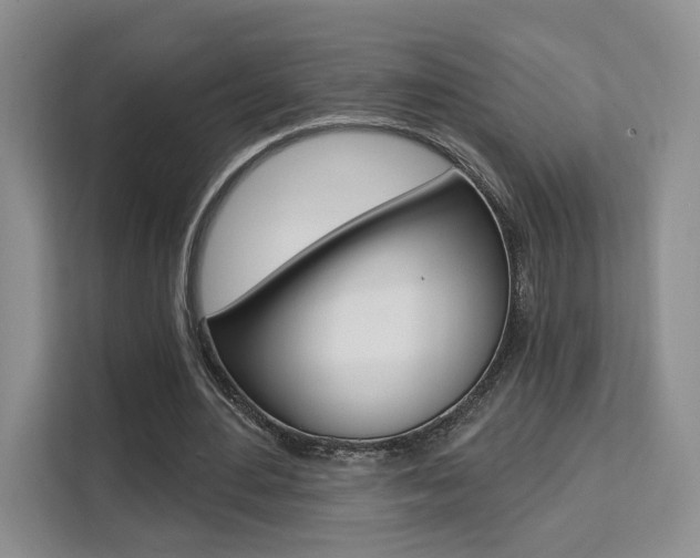 X0000111510484200907141107
