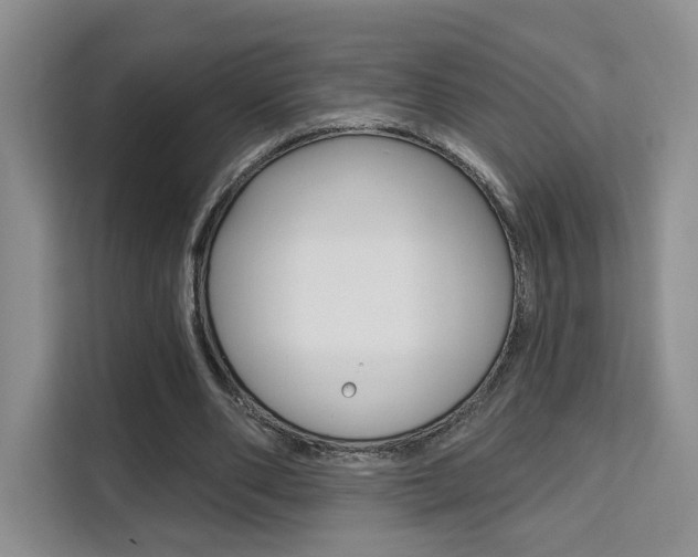 X0000111510486200907141107