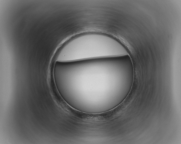 X0000111510488200907141107