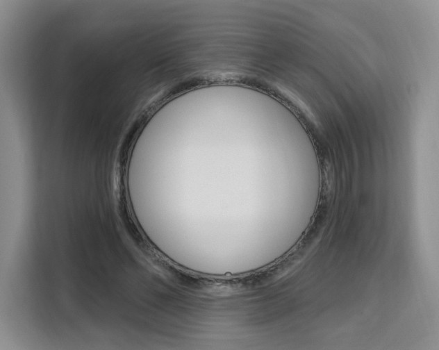 X0000111510494200907141107