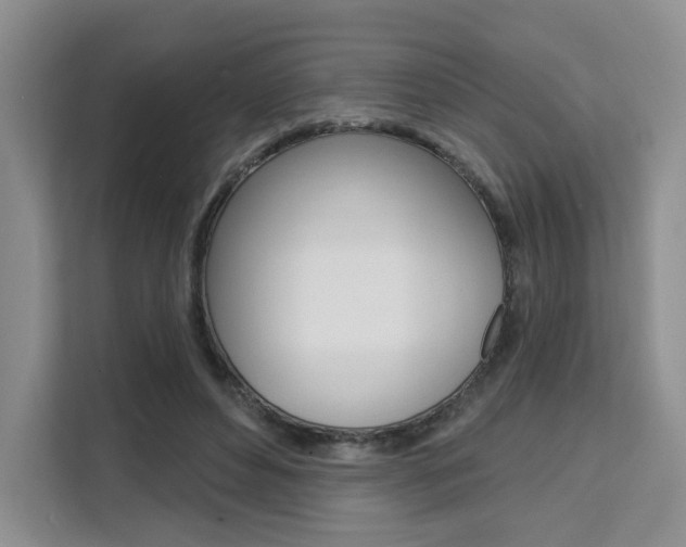 X0000111510496200907141107