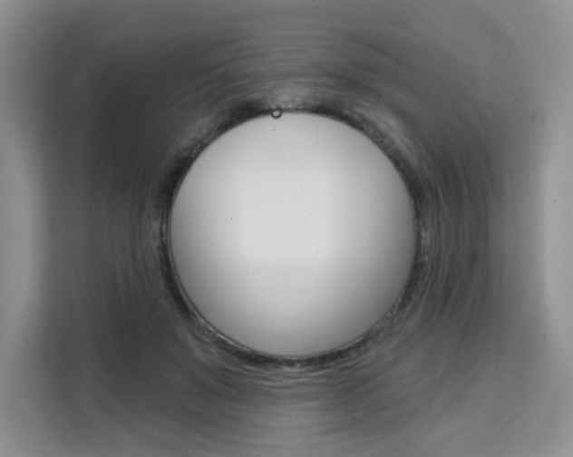 X0000111510503200907141107