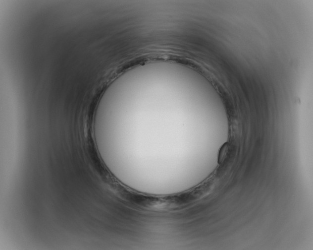 X0000111510504200907141107