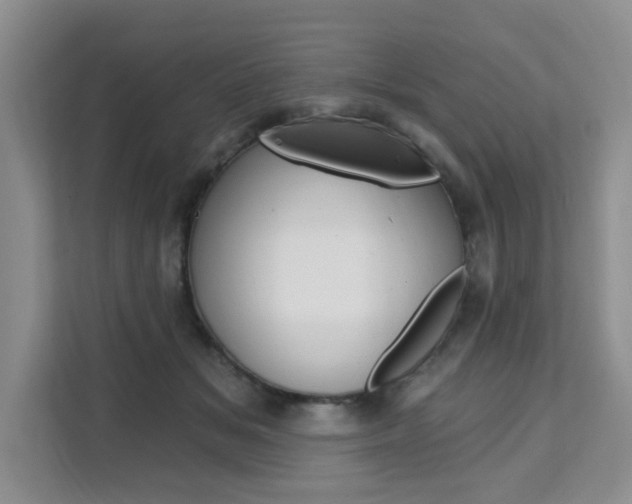 X0000111510509200907141107
