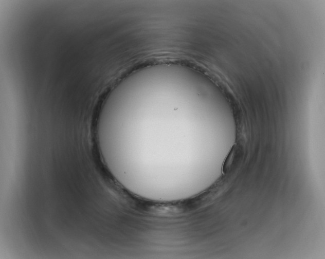 X0000111510512200907141107