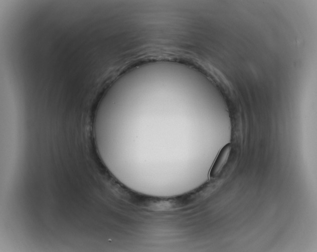 X0000111510513200907141107