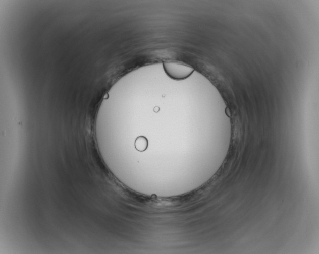 X0000111510518200907141107
