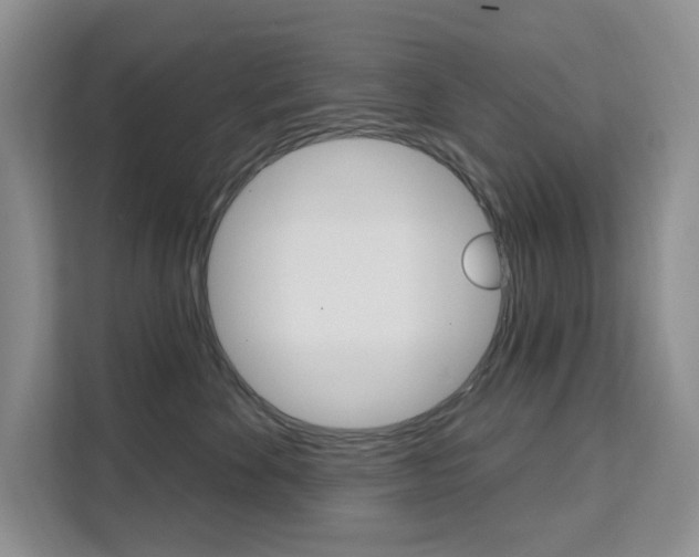 X0000111510524200907141106
