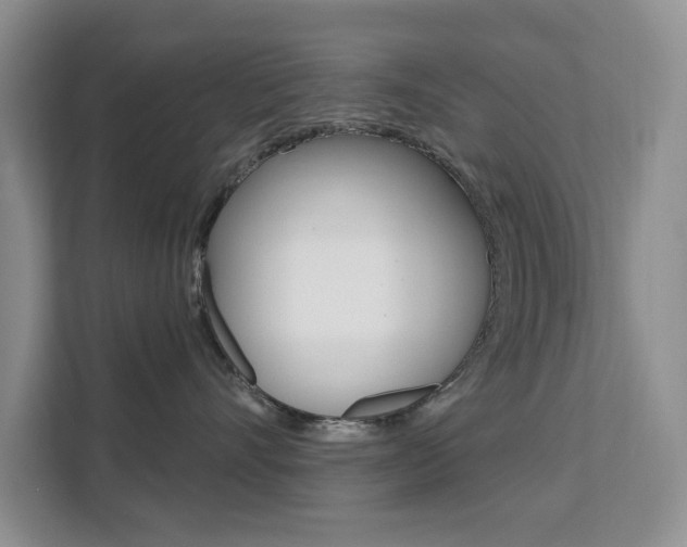 X0000111510528200907141106