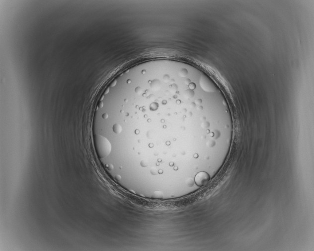 X0000111510529200907141106