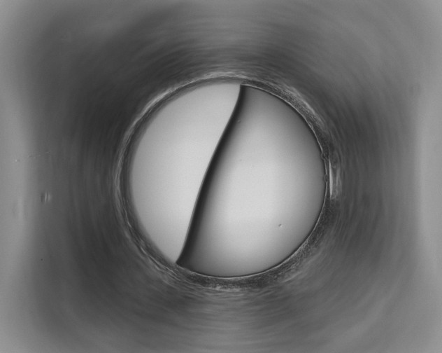 X0000111510531200907141106