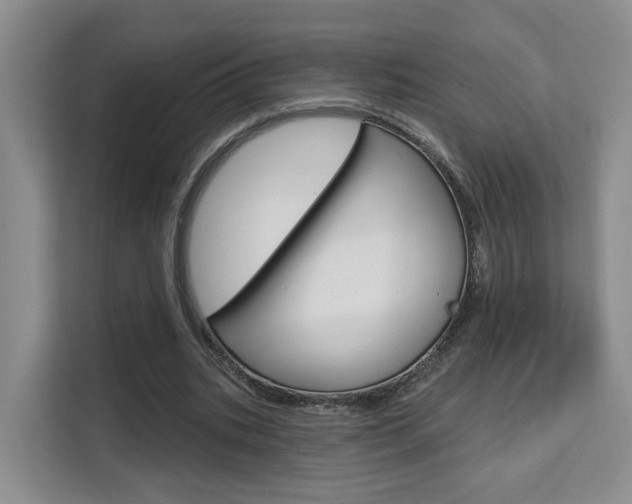 X0000111510535200907141106