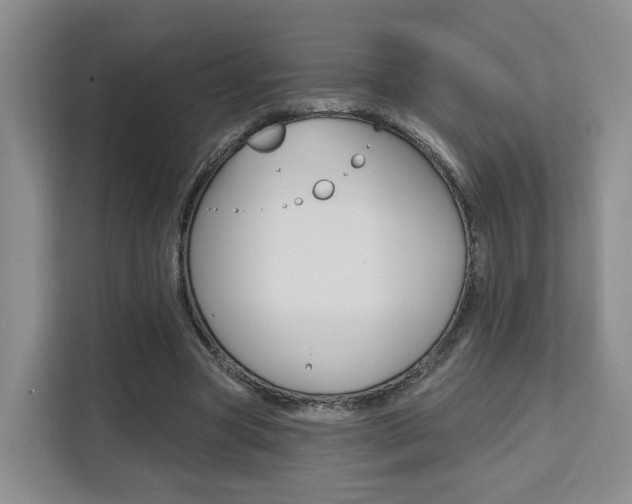 X0000111510537200907141106