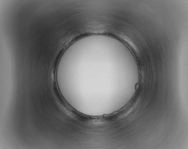X0000111510541200907141106