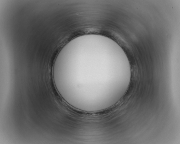 X0000111510550200907141106