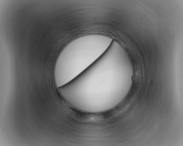 X0000111510555200907141106