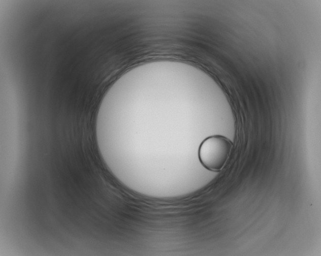 X0000111510556200907141106