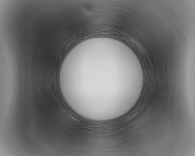 X0000111510558200907141106