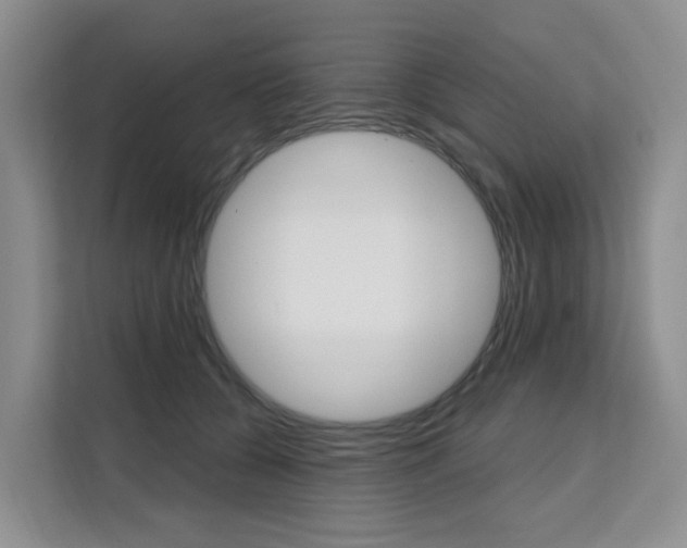 X0000111510560200907141106
