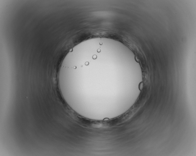 X0000111510561200907141106