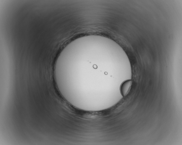 X0000111510563200907141106