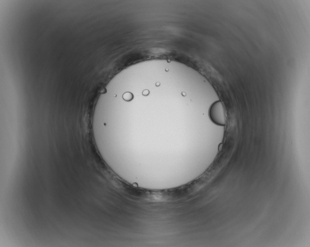 X0000111510565200907141106