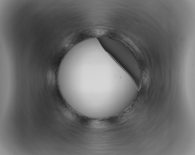 X0000111510568200907141106