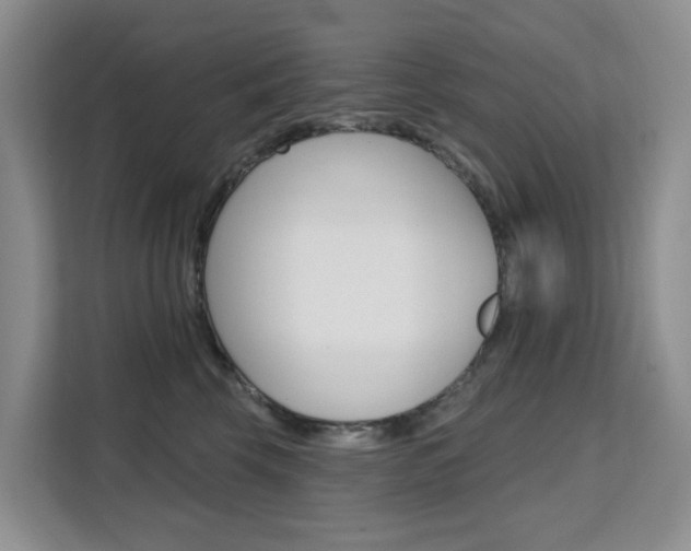 X0000111510569200907141106