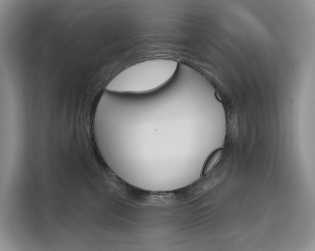 X0000111510571200907141106