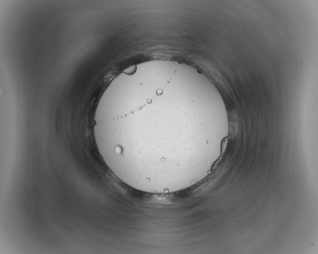 X0000111510573200907141106