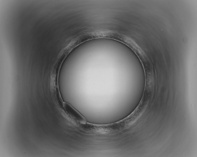 X0000111510585200907141106