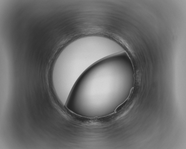 X0000111510589200907141106