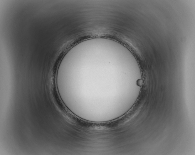 X0000111510590200907141106