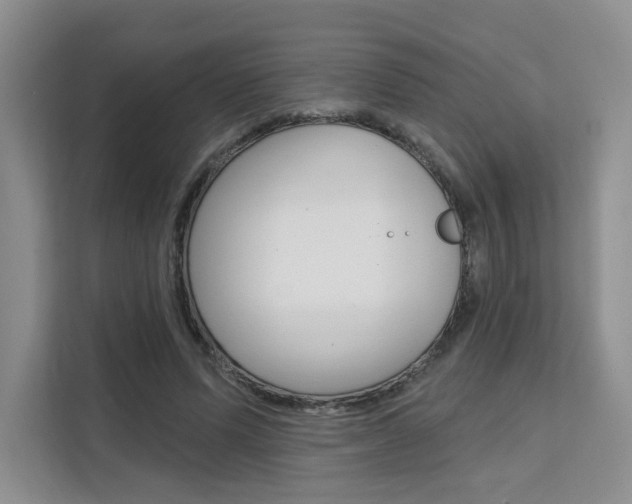 X0000111510591200907141106