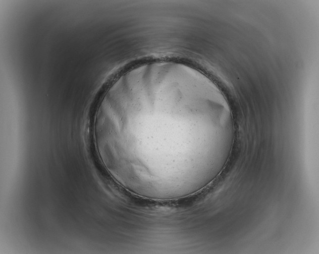 X0000111510592200907141106