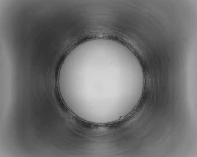 X0000111510594200907141106