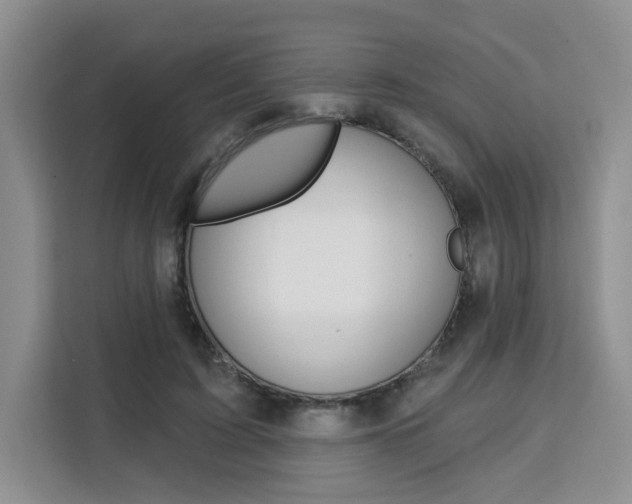 X0000111510595200907141106