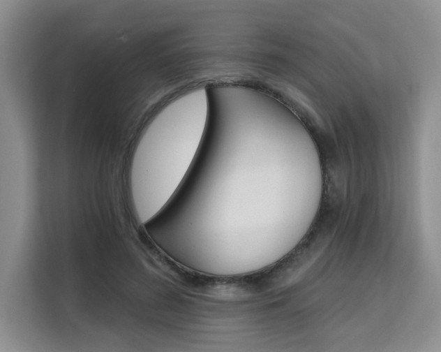 X0000111510596200907141106