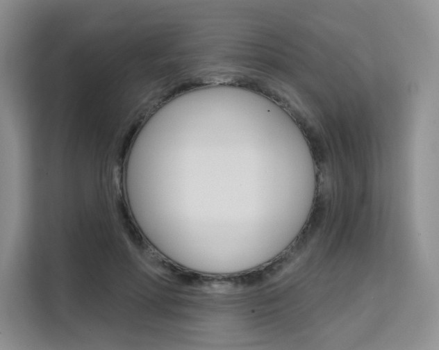 X0000111510598200907141105