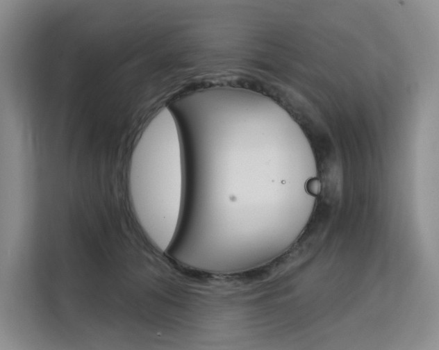 X0000111510608200907141105