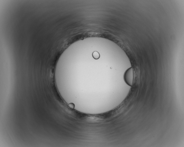 X0000111510614200907141105