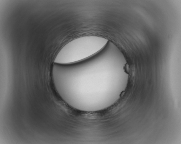 X0000111510615200907141105